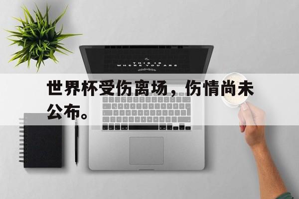 皇冠体育官网APP下载-世界杯受伤离场，伤情尚未公布。
