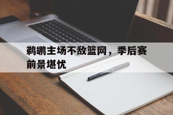 皇冠体育官网APP下载-鹈鹕主场不敌篮网，季后赛前景堪忧